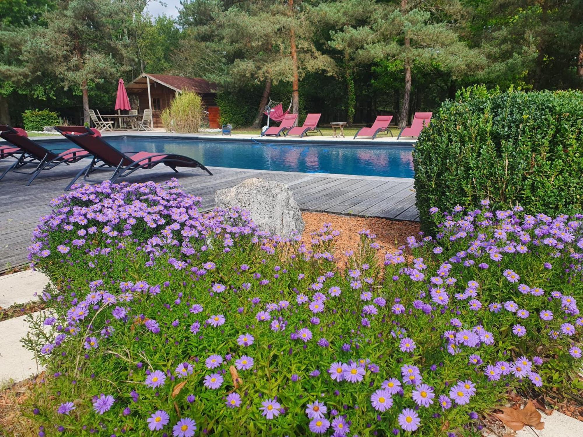 Domaine De Grand-Pas Villa Vernou-en-Sologne Exterior photo